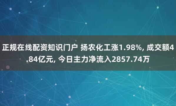 正规在线配资知识门户 扬农化工涨1.98%, 成交额4.84亿元, 今日主力净流入2857.74万