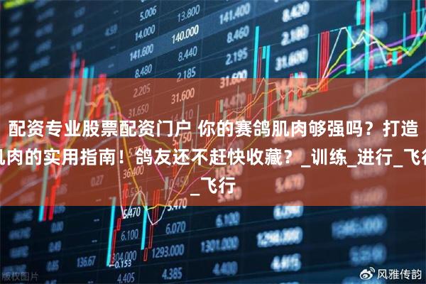 配资专业股票配资门户 你的赛鸽肌肉够强吗？打造肌肉的实用指南！鸽友还不赶快收藏？_训练_进行_飞行