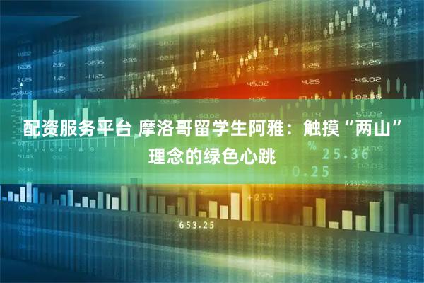 配资服务平台 摩洛哥留学生阿雅：触摸“两山”理念的绿色心跳